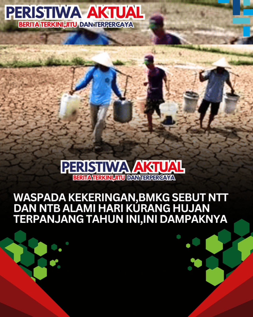 Waspada Kekeringan,BMKG Sebut NTT dan NTB Alami Hari Kurang Hujan Terpanjang Tahun Ini,Ini Dampaknya