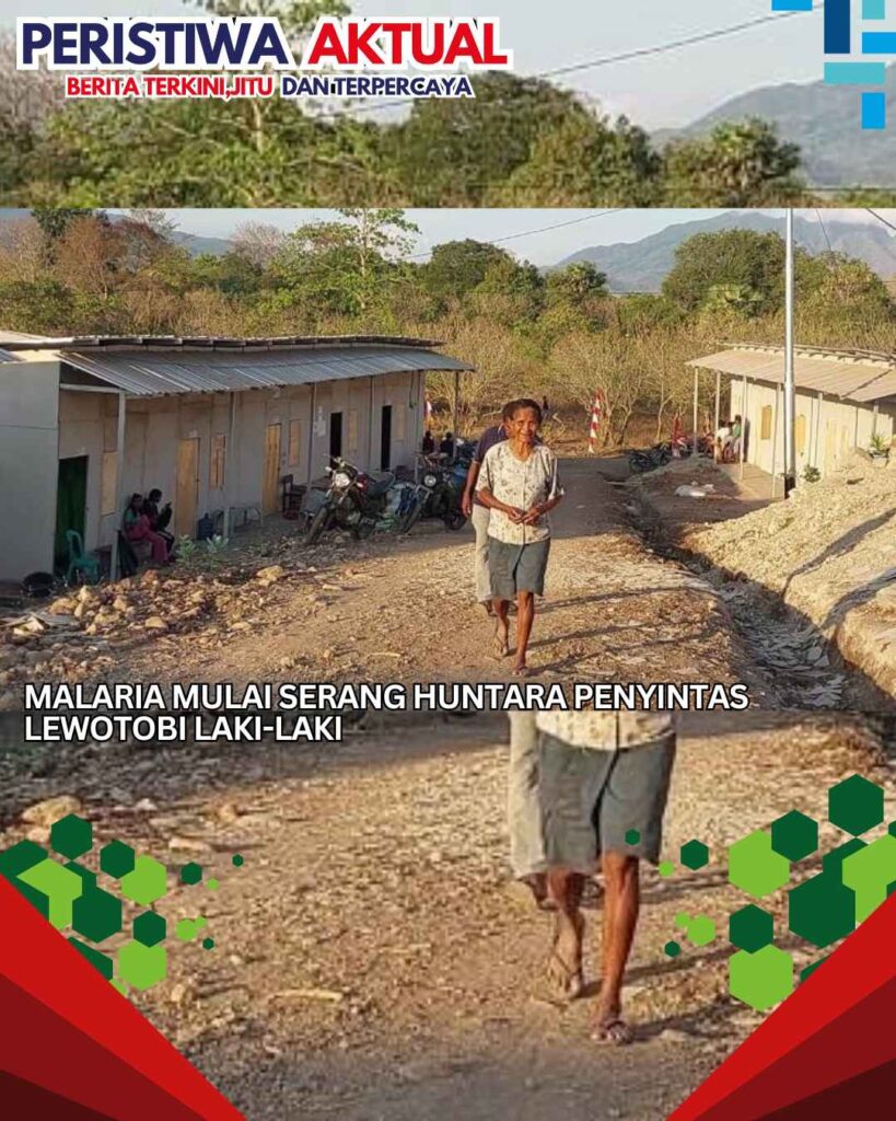 Malaria Mulai Serang Huntara Penyintas Lewotobi Laki-laki