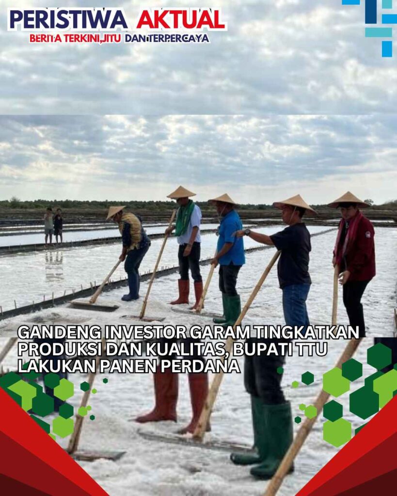 Gandeng Investor Garam Tingkatkan Produksi dan Kualitas, Bupati TTU Lakukan Panen Perdana