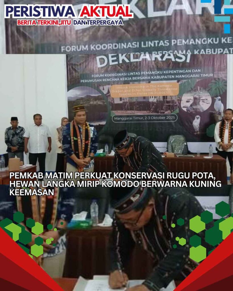 Pemkab Matim Perkuat Konservasi Rugu Pota, Hewan Langka Mirip Komodo Berwarna Kuning Keemasan