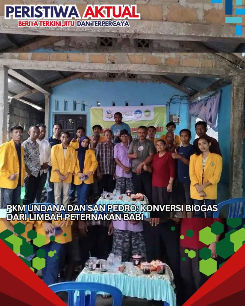 PKM Undana dan San Pedro: Konversi Biogas dari Limbah Peternakan Babi