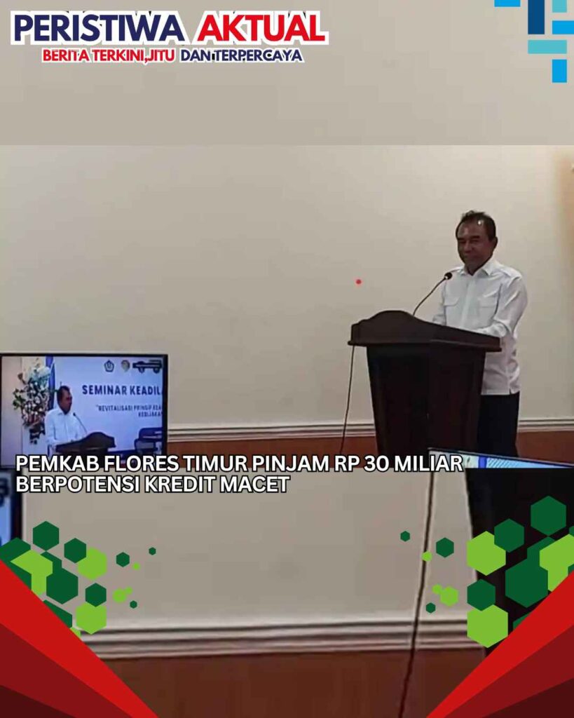 Pemkab Flores Timur Pinjam Rp 30 Miliar Berpotensi Kredit Macet