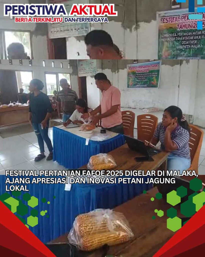 Festival Pertanian Fafoe 2025 Digelar di Malaka, Ajang Apresiasi dan Inovasi Petani Jagung Lokal