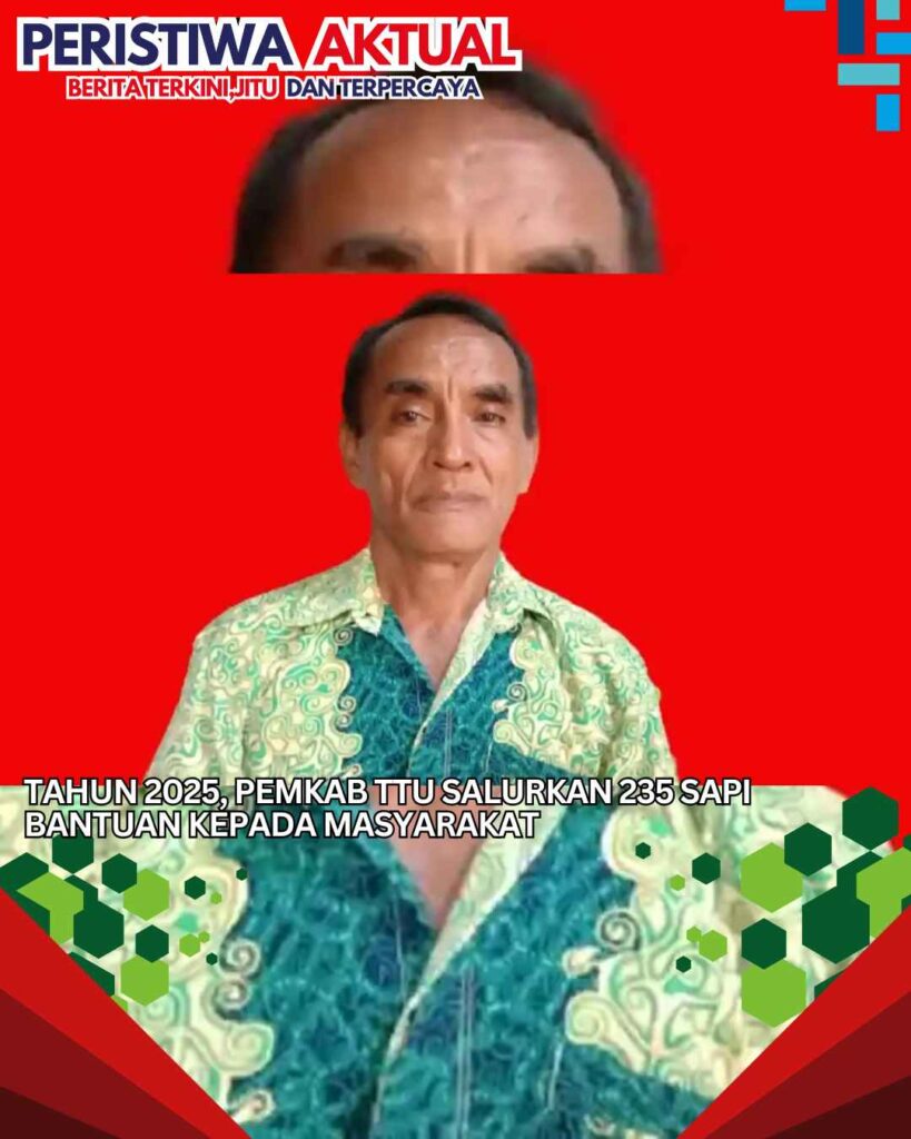 Tahun 2025, Pemkab TTU Salurkan 235 Sapi Bantuan kepada Masyarakat