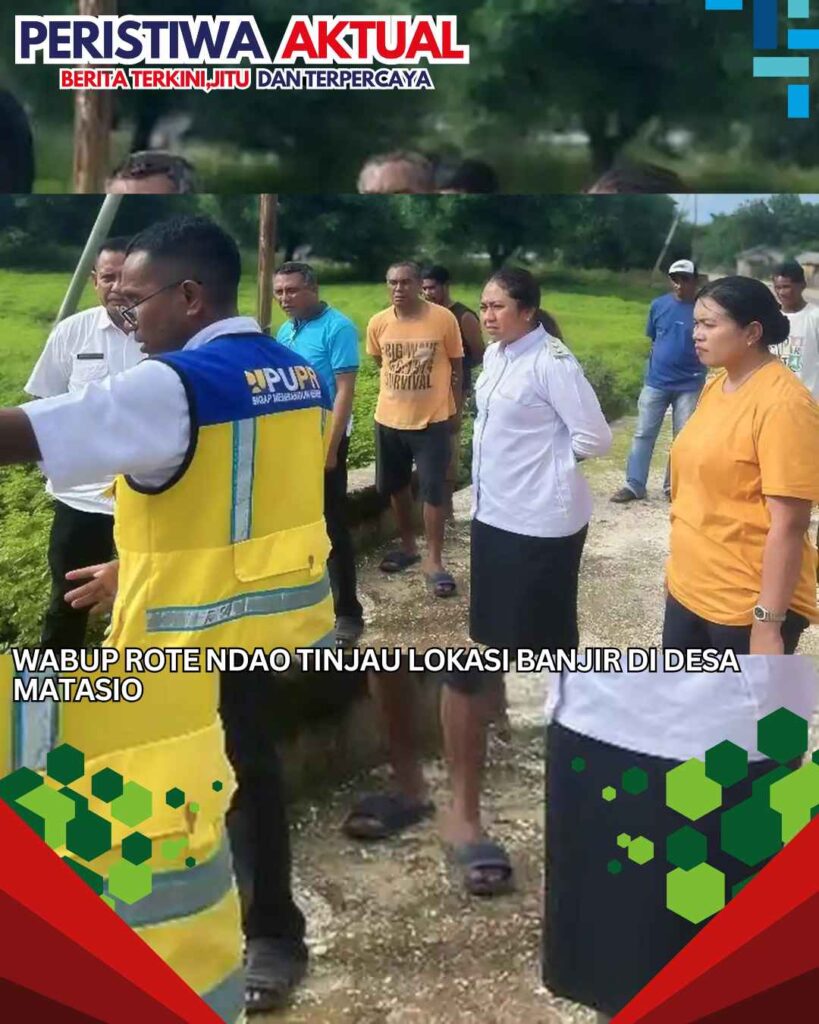 Wabup Rote Ndao Tinjau Lokasi Banjir di Desa Matasio
