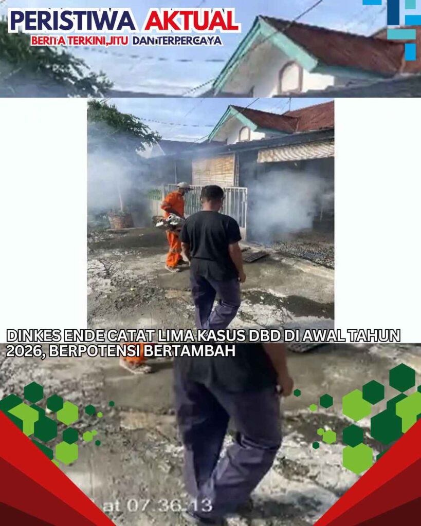Dinkes Ende Catat Lima Kasus DBD di Awal Tahun 2026, Berpotensi Bertambah
