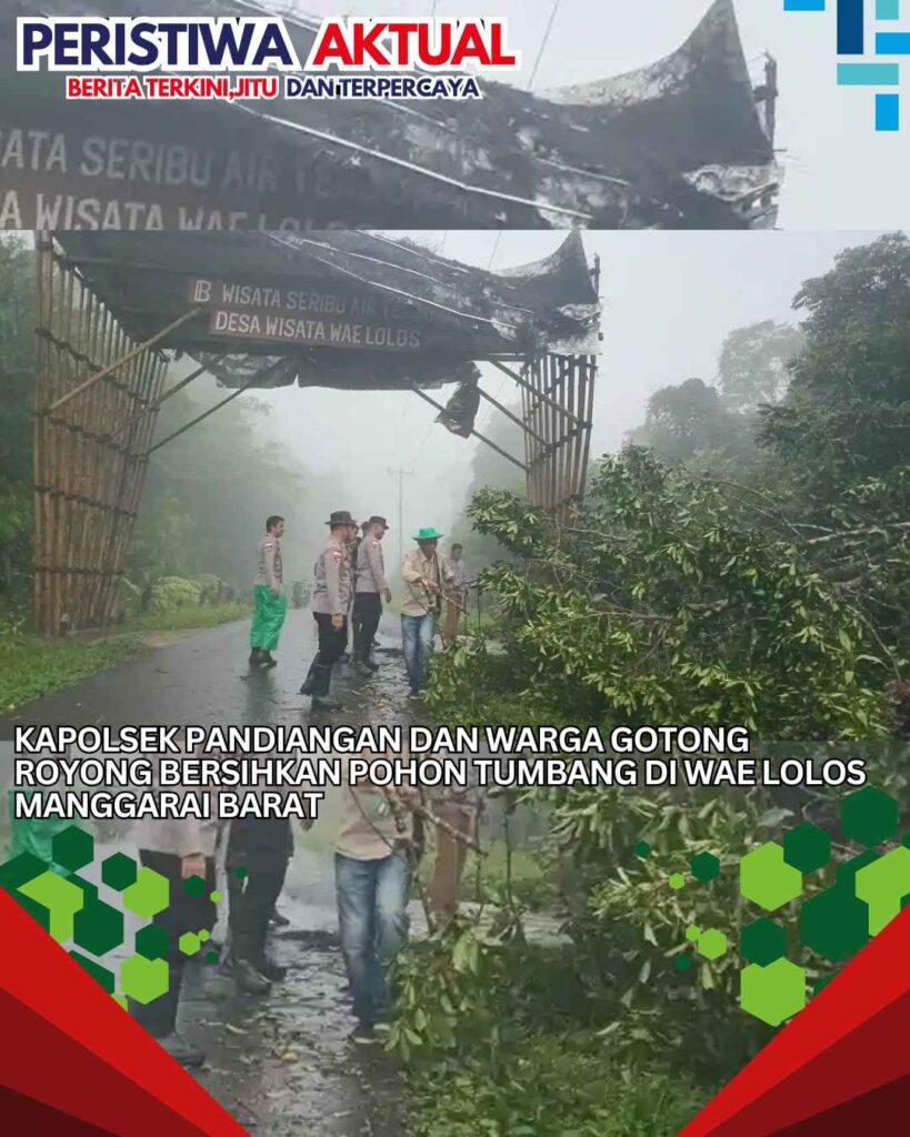 Kapolsek Pandiangan dan Warga Gotong Royong Bersihkan Pohon Tumbang di Wae Lolos Manggarai Barat